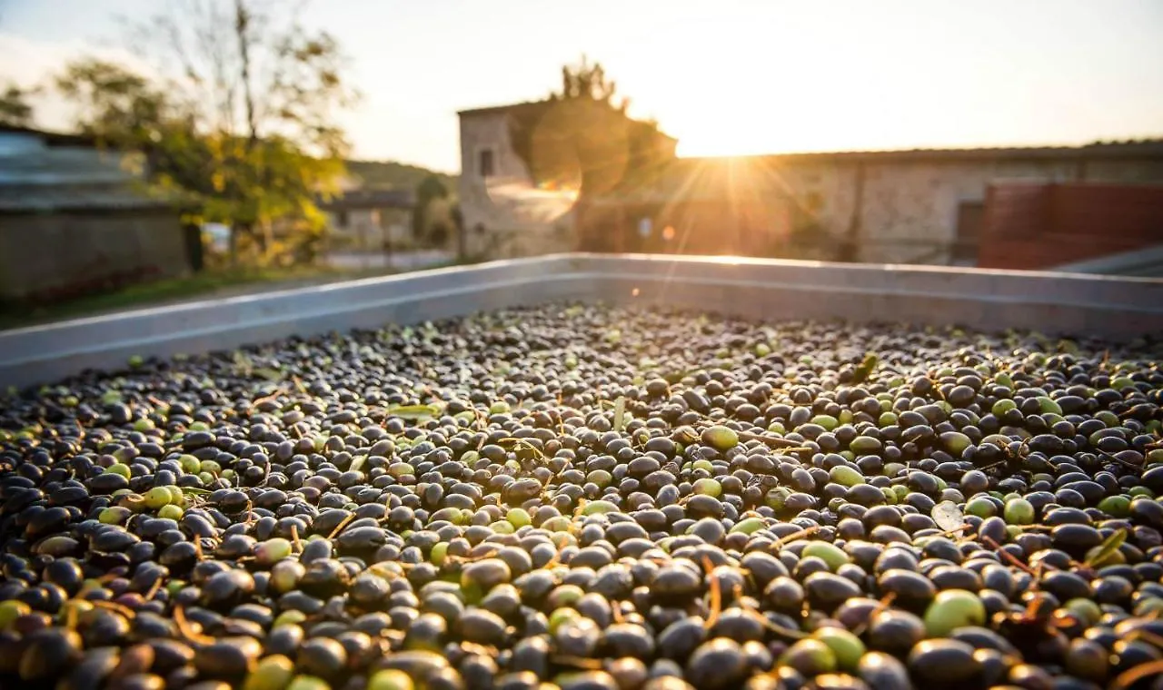 Farm stay Agriturismo Grossola Castiglione d'Orcia