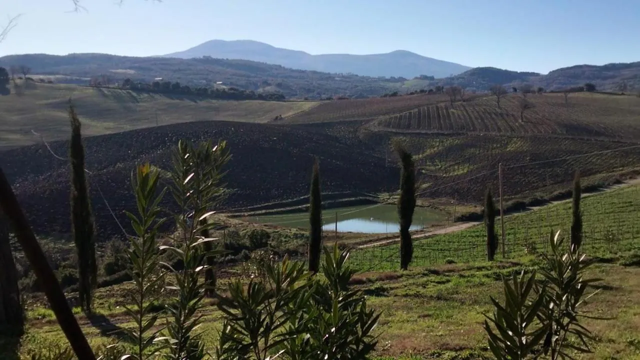 Agriturismo Grossola Castiglione d'Orcia Farm stay
