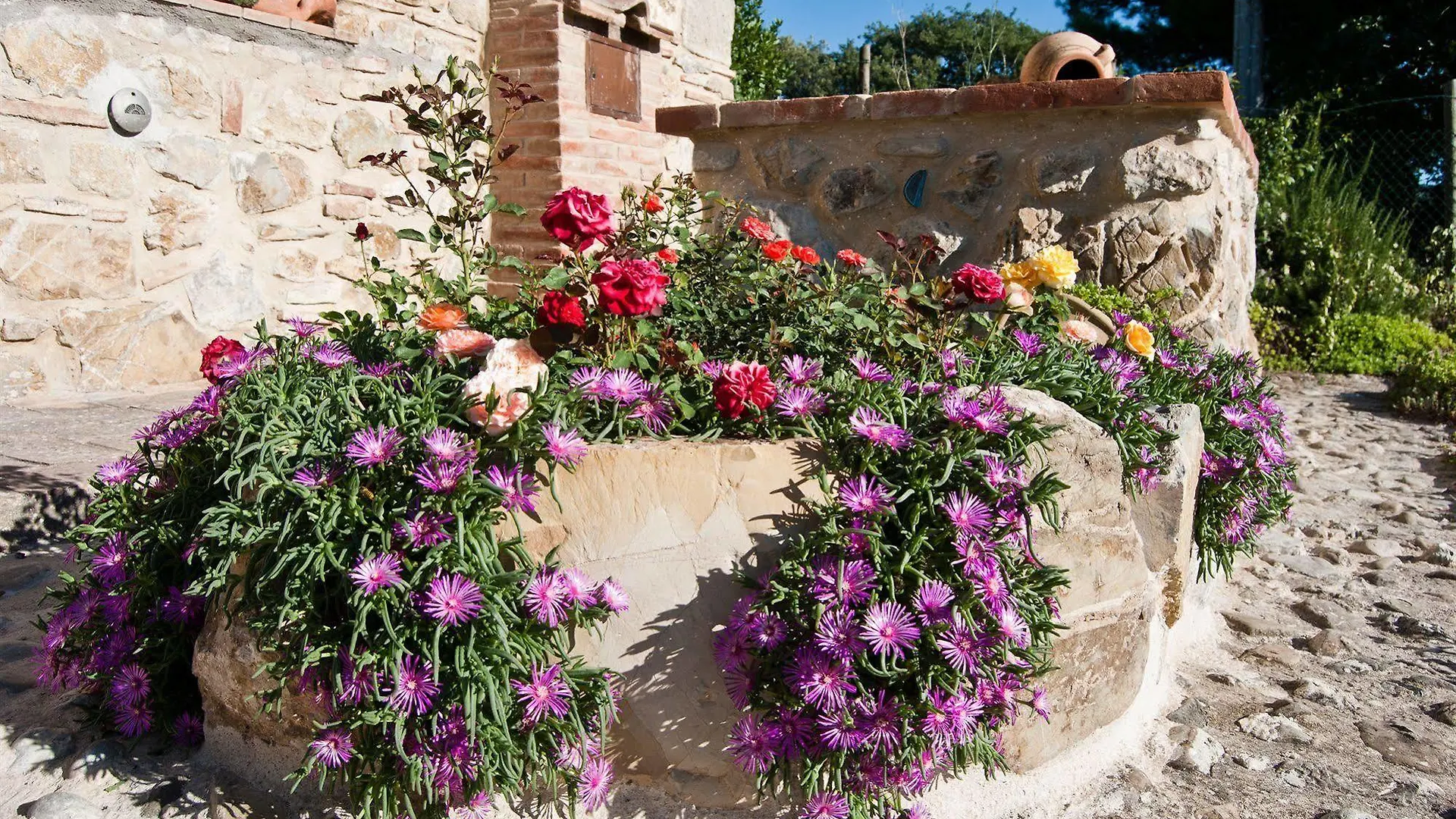Agriturismo Grossola Castiglione d'Orcia Farm stay