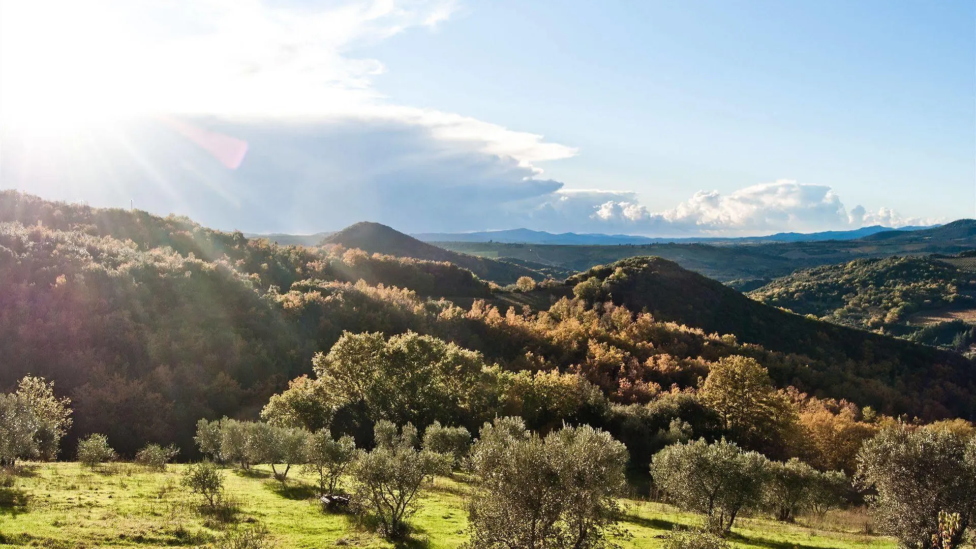 Agriturismo Grossola Castiglione d'Orcia Farm stay